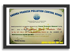 Recognition for Practicing â€œCleaner Products Measuresâ€